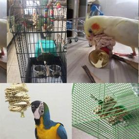 img 3 attached to 🦜 3-Pack Parrot Toys: Cuttle Bone Beak Grinding Hanging Bell Toys for African Greys, Conures, Budgies, and More!