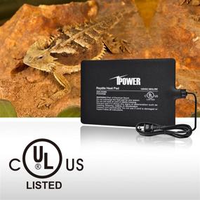 img 1 attached to 🦎 iPower Reptile Heat Pad: Versatile Terrarium Warmer with Digital Thermostat - Ideal for Turtles, Lizards, Frogs, and More!