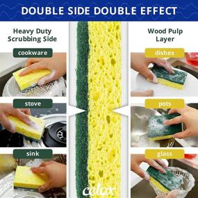 img 2 attached to 🧽 CELOX Dual-Sided Dish Sponge Heavy Duty, Fast Cleaning Kitchen Sponge, Dishwashing Household Cleaning Sponges for Kitchen, 12 Pack, 4.5 x 2.7 x 0.8 inches