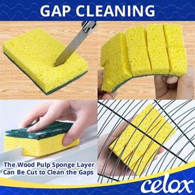 img 1 attached to 🧽 CELOX Dual-Sided Dish Sponge Heavy Duty, Fast Cleaning Kitchen Sponge, Dishwashing Household Cleaning Sponges for Kitchen, 12 Pack, 4.5 x 2.7 x 0.8 inches