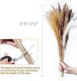img 2 attached to 🌾 60 Pcs Mudysson Dried White Pampas Grass, Brown Dried Flower, and Natural Reed for Wedding Decoration & Home Arrangement