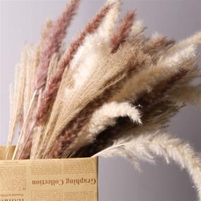 img 4 attached to 🌾 60 Pcs Mudysson Dried White Pampas Grass, Brown Dried Flower, and Natural Reed for Wedding Decoration & Home Arrangement