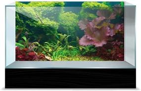 img 1 attached to SPORN Aquarium Background Static Tropical Fish & Aquatic Pets