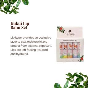 img 3 attached to 🌺 Hanalei's Cruelty-Free and Paraben-Free Kukui Oil Lip Balm and Moisturizer Set - Made with Hawaiian Kukui Oil and Beeswax to Nourish and Revitalize Dry, Chapped Lips - 5 Pack, Made in the USA