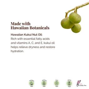 img 2 attached to 🌺 Hanalei's Cruelty-Free and Paraben-Free Kukui Oil Lip Balm and Moisturizer Set - Made with Hawaiian Kukui Oil and Beeswax to Nourish and Revitalize Dry, Chapped Lips - 5 Pack, Made in the USA