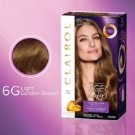 clairol age defy permanent hair dye review: 6g light golden brown hair color logo