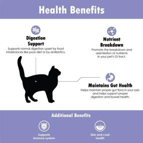 img 3 attached to 🐱 Proflora Probiotic for Cats: Boost Digestive Health with 200 Million CFU - Chicken Liver Flavor - 30 Servings