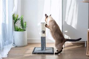 img 3 attached to 🐱 Catry Cat Scratching Post: Modern Minimalist Design, Perfect for Playful Kittens, Multiple Sizes Available