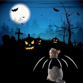 img 2 attached to Small Cat Kitten Pet Costume Set: Witch Cloak, Bat Wings, and Wizard Hat 🎃 - Funny Halloween Theme Party Decorations and Magical Holiday Gift for Cats - Pumpkin Easter Cosplay