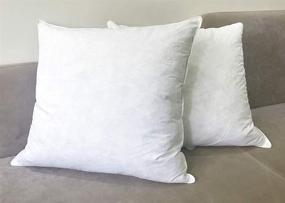 img 1 attached to Premium White Duck Feather Down Stuffed Accent Pillow Insert 20x20 with Breathable Egyptian 100% 🔽 Cotton Cover - Soft Support Square Decorative Throw Pillow Fill Insert for 18x18 Sofa, Couch, Chair Pillow