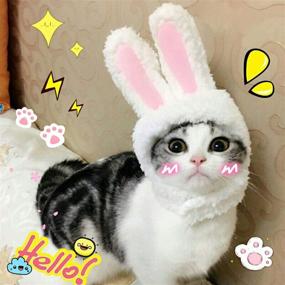 img 4 attached to 🐰 Cute Bunny Rabbit Hat with Ears for Cats & Small Dogs: Ideal Party Costume & Halloween Accessory by BWOGUE