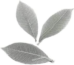 img 2 attached to 🍃 100-Pack NAVA CHIANGMAI Rubber Tree Leaves - Artistic Skeleton Leaves for DIY Crafts, Scrapbooks, and Handmade Decorations (Silver)