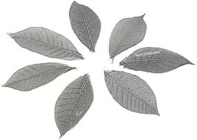 img 3 attached to 🍃 100-Pack NAVA CHIANGMAI Rubber Tree Leaves - Artistic Skeleton Leaves for DIY Crafts, Scrapbooks, and Handmade Decorations (Silver)