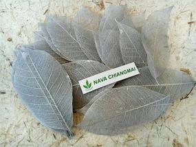 img 1 attached to 🍃 100-Pack NAVA CHIANGMAI Rubber Tree Leaves - Artistic Skeleton Leaves for DIY Crafts, Scrapbooks, and Handmade Decorations (Silver)