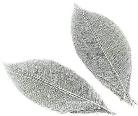 img 4 attached to 🍃 100-Pack NAVA CHIANGMAI Rubber Tree Leaves - Artistic Skeleton Leaves for DIY Crafts, Scrapbooks, and Handmade Decorations (Silver)