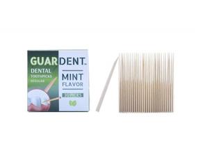 img 1 attached to 🦷 Guardent Dental Mint Flavor Toothpicks and Plaque Removers - 2 Packs of 4x30 Picks/Pack (240 Picks)