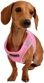 img 1 attached to Soft Vest Harness PRO Pink