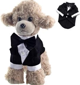 img 4 attached to Elegant ANIAC Formal Suit for Cats and Dogs: Perfect Attire 🐱 for Weddings and Parties, featuring Black Bow-Knot and White Collar Stylish Tail Clothes