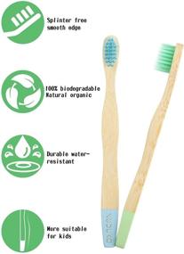 img 1 attached to Organic Compostable Kids Toothbrush Set, BPA-Free Soft Bristle Bamboo Toothbrushes, Eco-Friendly Natural Biodegradable Sustainable Toothbrushes - Pack of 6