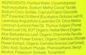 img 1 attached to 🍋 EO Botanical Liquid Hand Soap Refill - Lemon & Eucalyptus, 32oz (Pack of 2)