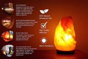 img 1 attached to Natural Rock Hymilayian Salt Lamp - Genuine Wood Base Salt Lamp With On And Off Switch/Dimmer - 5-7 Lbs - Bulb With 6-8 Inches UL Electric Corded (Leaf)