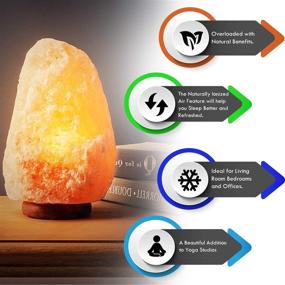 img 3 attached to Natural Rock Hymilayian Salt Lamp - Genuine Wood Base Salt Lamp With On And Off Switch/Dimmer - 5-7 Lbs - Bulb With 6-8 Inches UL Electric Corded (Leaf)