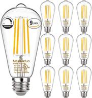 💡 durable eye-friendly dimmable filament bathroom bulb: the perfect equivalence logo