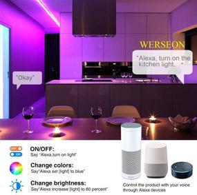 img 2 attached to 32.8ft WERSEON LED Strip Lights Kit - Waterproof RGB 300LED Light Strips, Compatible with Alexa & Google Home, Music Sync for Room TV Kitchen Home Party