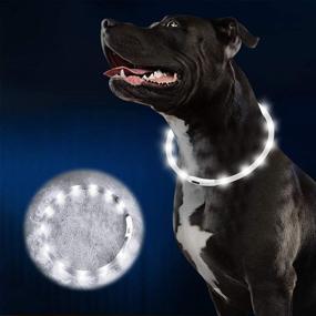 img 4 attached to 🐾 PAKESI LED Dog Collar: Rechargeable Safety Collar for Night Walks - Ideal for Dogs, Cats, and Pets of All Sizes