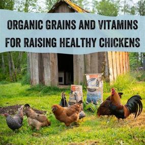 img 1 attached to Naturally Free Organic Layer Feed for Chickens and Ducks - Non-GMO, Soy Free, and Corn Free: Scratch and Peck Feeds