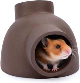 img 4 attached to 🐹 Niteangel Ceramic Hamster Tunnel & Tubes Hideout: Perfect Haven for Dwarf, Robo, Syrian Hamsters, Mice, Rats, and Small Animals