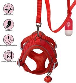 img 3 attached to 🐶 Blompet Small Dog Harness and Leash Set - Escape Proof Puppy Vest with Reflective Strap and Bells for Easy Control and Walking - Adjustable Air Mesh Pet Vest for Small to Medium Dogs