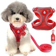 🐶 blompet small dog harness and leash set - escape proof puppy vest with reflective strap and bells for easy control and walking - adjustable air mesh pet vest for small to medium dogs logo