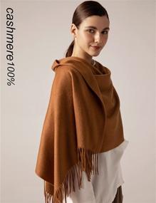 img 3 attached to Jushkune Cashmere Soild Classic Winter Women's Accessories in Scarves & Wraps