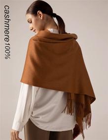 img 1 attached to Jushkune Cashmere Soild Classic Winter Women's Accessories in Scarves & Wraps
