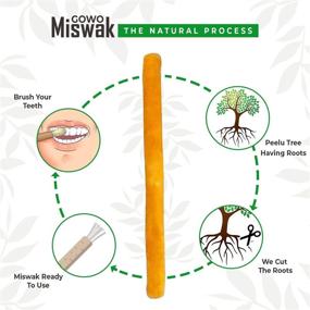 img 2 attached to 🦷 GOWO 2 Pack Miswak Sticks and Holders - Natural Teeth Whitening Kit - Organic Toothbrush - Toothpaste-Free - Herbal Teeth Whitener and Breath Freshener