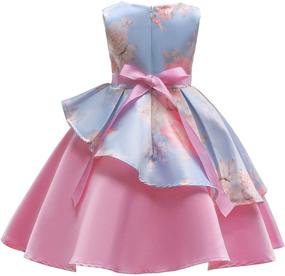 img 3 attached to 👸 Princess Sleeveless Halloween Dresses for Girls: NSSMWTTC Girls' Clothing Collection