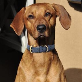 img 3 attached to 🐶 Padded and Durable Classic Leather Dog Collar - Adjustable for Small, Medium & Large Dogs - Heavy Duty, Soft and Strong Pet Collars