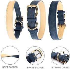 img 2 attached to 🐶 Padded and Durable Classic Leather Dog Collar - Adjustable for Small, Medium & Large Dogs - Heavy Duty, Soft and Strong Pet Collars