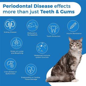 img 2 attached to 🐱 OptimalFeline Oral Health Care: Natural Dental Supplement for Cats - Effective Anti-inflammatory Pain Relief for Stomatitis, Gingivitis, and Gum Disease - Convenient and User-Friendly