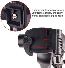 img 3 attached to 📷 BLUECELL Quick Release QR Plate for Enhanced Tripod Head Compatibility with Velbon CX-444, CX-888, CX-460, CX-460mini, CX-470, CX-570, CX-690, DF-50, Sony VCT-D580RM, VCT-D680RM, VCT-R640, and QB-4W