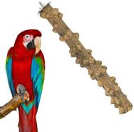 🦜 enhance your bird's cage with the you+ natural wood perch: a perfect fork stand platform toy for pet parrots, cockatiels, and more! логотип