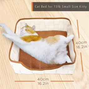 img 3 attached to 🐱 PrimePets 16" Indoor Cat Bed with Reversible Mat - Anti Slip, Washable Sleeping Bed for Small Breed Dogs, Cats & Animals - Square