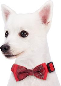 img 2 attached to Collar Accessories Gift Set: Blueberry Pet 2-Pack Handmade Bow Ties for Dogs