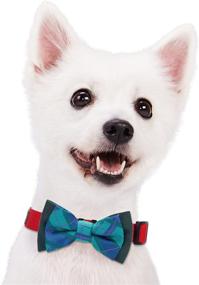 img 1 attached to Collar Accessories Gift Set: Blueberry Pet 2-Pack Handmade Bow Ties for Dogs