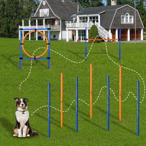 img 3 attached to MelkTemn Dog Agility Set - All-in-One Canine Agility Equipment for Training, Obedience, and Rehabilitation - Includes Hurdle, Weave Poles, and Jump - Carrying Bag Included