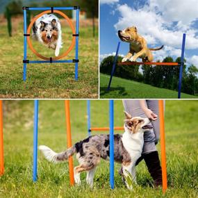 img 1 attached to MelkTemn Dog Agility Set - All-in-One Canine Agility Equipment for Training, Obedience, and Rehabilitation - Includes Hurdle, Weave Poles, and Jump - Carrying Bag Included