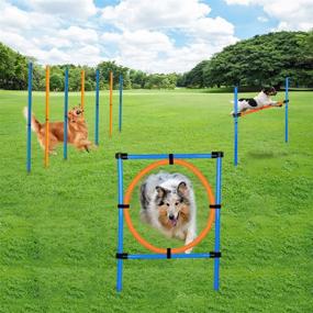img 4 attached to MelkTemn Dog Agility Set - All-in-One Canine Agility Equipment for Training, Obedience, and Rehabilitation - Includes Hurdle, Weave Poles, and Jump - Carrying Bag Included