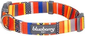 img 4 attached to 🌈 Optimized Search: Blueberry Pet Perfect Rainbow Dog Collars with 4 Patterns