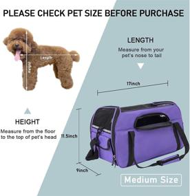 img 3 attached to 🐾 EAARTCHI Portable Pet Carrier: Airline Approved Soft-Sided Cat Travel & Puppy Carrier with Mesh Windows, Collapsible & Safe Design